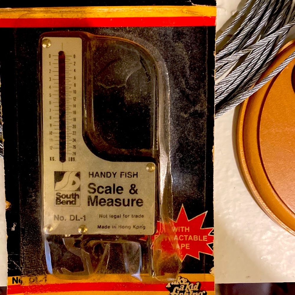 Scale’s